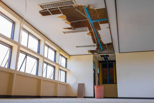Best Water damage restoration experts  in Nneconne, WI