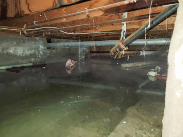 Best Sewage cleanup and water damage restoration  in Nneconne, WI