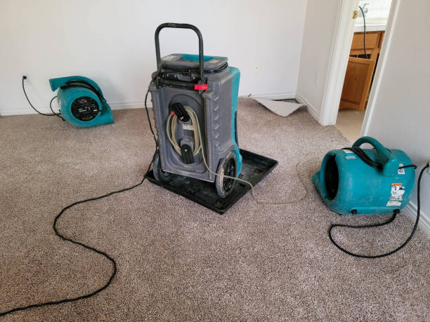 Best Sewage cleanup and water damage restoration  in Nneconne, WI
