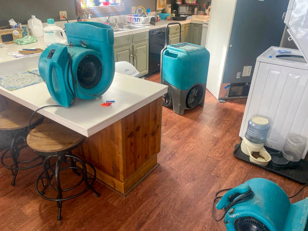 Best Commercial water damage restoration  in Nneconne, WI
