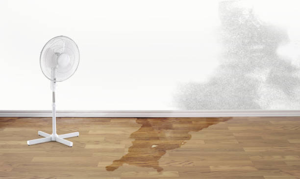Best Local water damage restoration  in Nneconne, WI