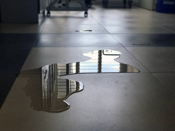 Water damage restoration process in WI